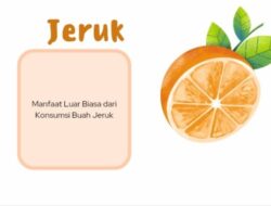 Manfaat Luar Biasa dari Konsumsi Buah Jeruk
