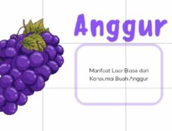 Manfaat Luar Biasa dari Konsumsi Buah Anggur