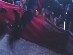 Arena Judi Sabung Ayam di Desa Kupang Mojokerto Meresahkan, Polisi Kemana?