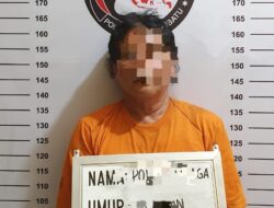 Tindak Tegas Peredaran Narkoba, Polres Labuhanbatu Bekuk Pengedar Ganja