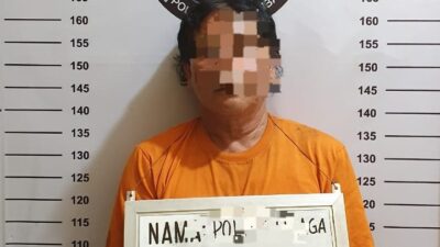 Tindak Tegas Peredaran Narkoba, Polres Labuhanbatu Bekuk Pengedar Ganja