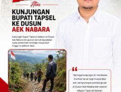 Tokoh Muda Tabagsel Julpadli Simamora Apresiasi Atas Kunjungan Bupati Tapsel ke Aek Nabara